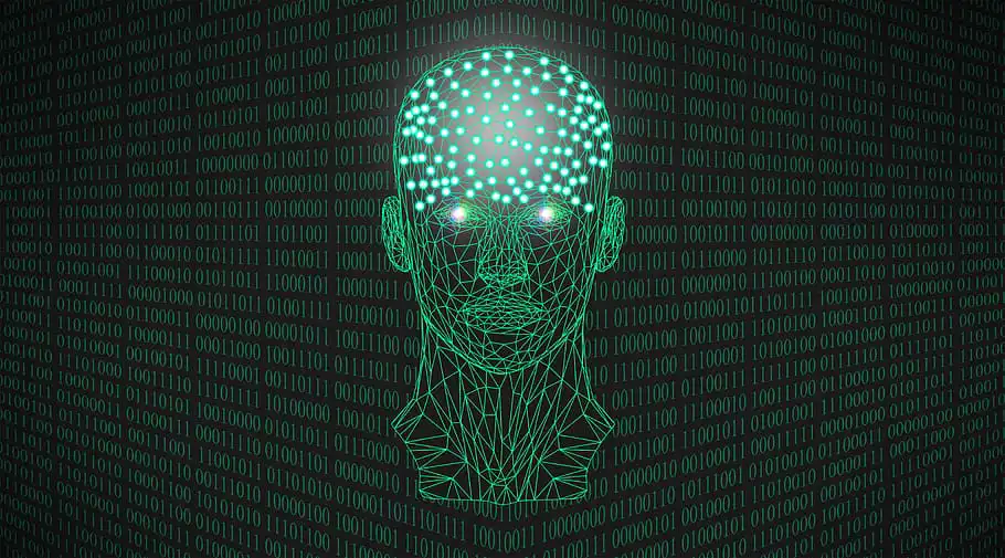 Advanced Ai Anatomy Artificial